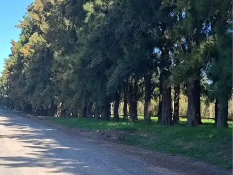 Terreno en Venta en Countries y Barrios Cerrados en Campana, USD 62.000
