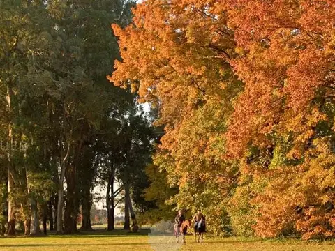 Terreno en Venta de 1445,0 m2