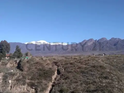 Terreno en Venta de 2920,0 m2