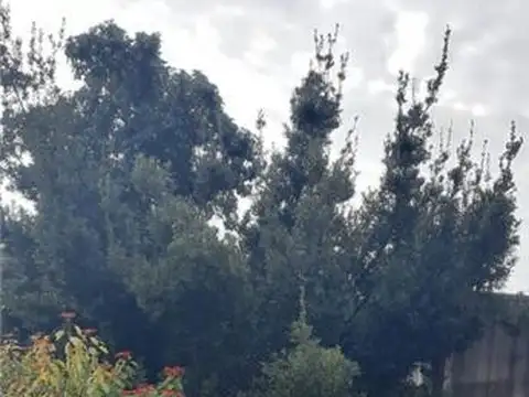 Terreno en Venta 42  mts Fondo