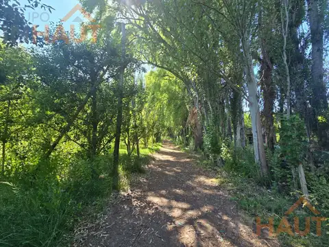 Chacra en venta Cipolletti Ferri