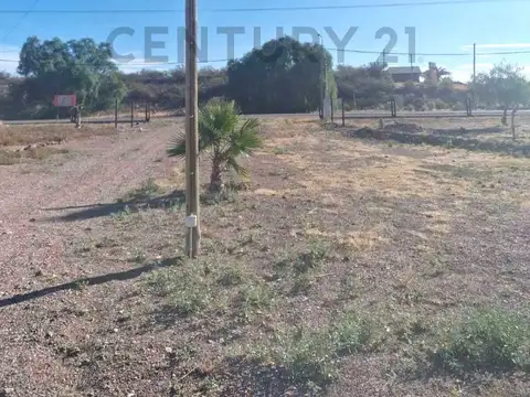 CUBILLOS 8300