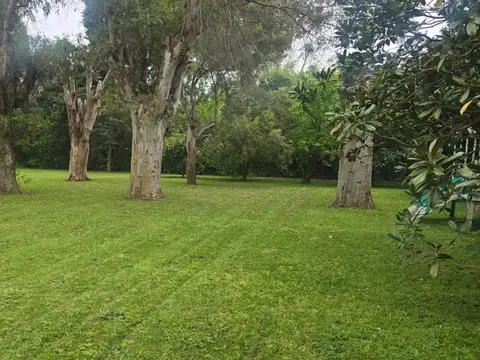 REMANSO KM 74,5 100