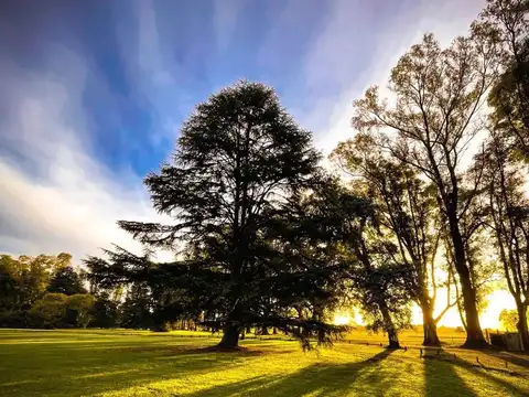 Terreno en Venta de 2054,0 m2