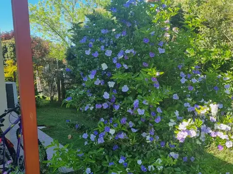 HERMOSA CASA EN HARAS SANTA MARIA - LOS EUCALIPTUS - ESCOBAR