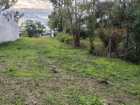 Gran terreno de 2.883m2 R 12, Colonia Avellaneda