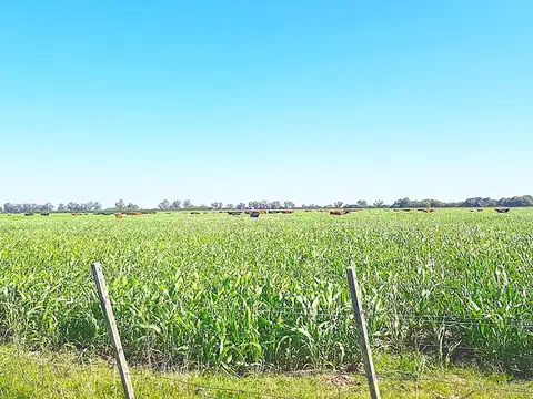 Chacabuco 446 Has