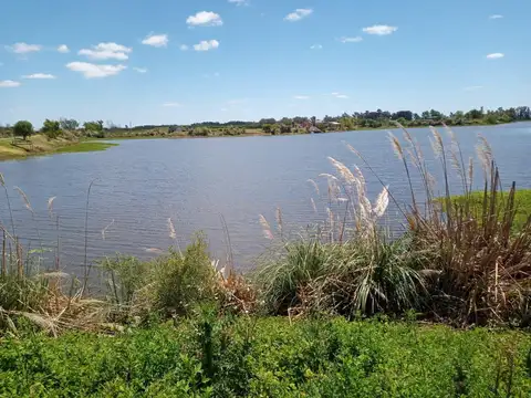 Terreno en Venta 41,97  mts Frente