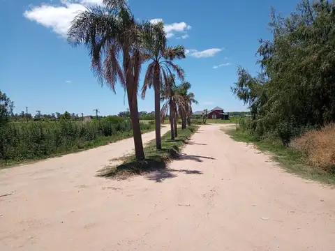 TERRENOS BALDÍOS 08 Y 09 - Islas Del Ibicuy
