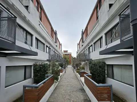 Carlos Pellegrini 100