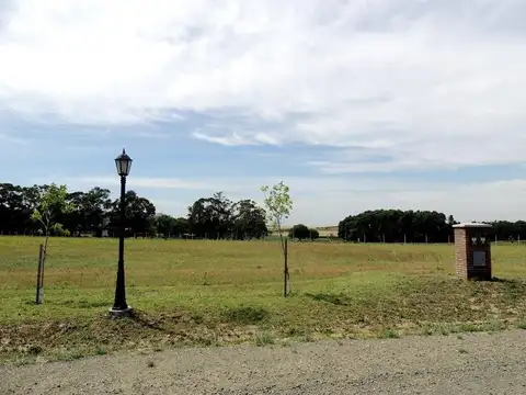 Club de Campo Las Verbenas