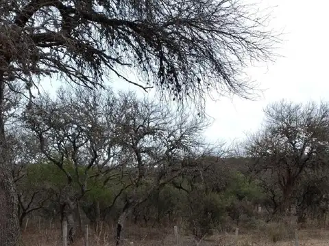 Terreno en Venta en San Lorenzo, USD 11.000