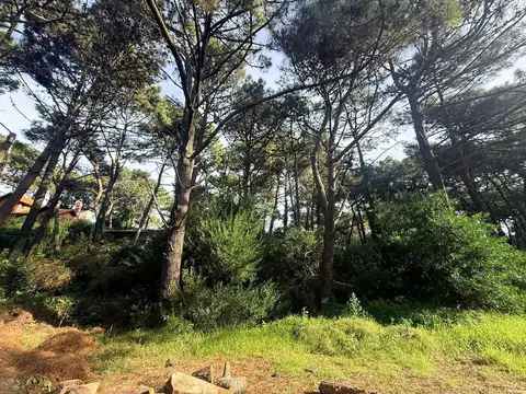 Terreno en Venta en Pinamar Norte, USD 74.000