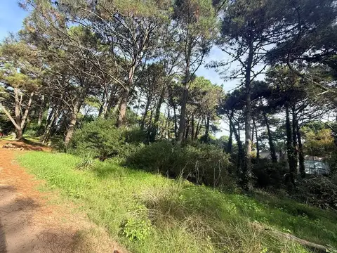 Terreno en Venta de 600,0 m2