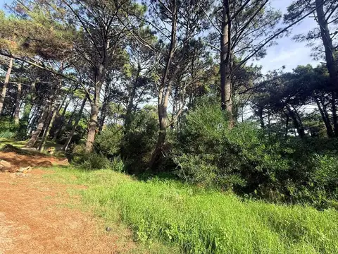 Lote en Venta PINAMAR NORTE
