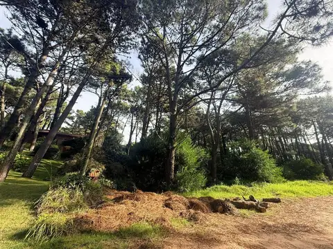 Lote en Venta PINAMAR NORTE
