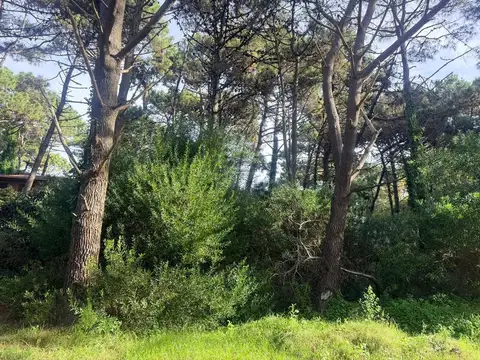 Terreno en Venta de 600,0 m2