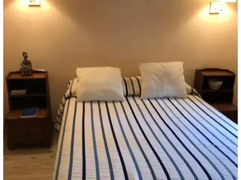 Magnolia, Hornero y Golondrina 100