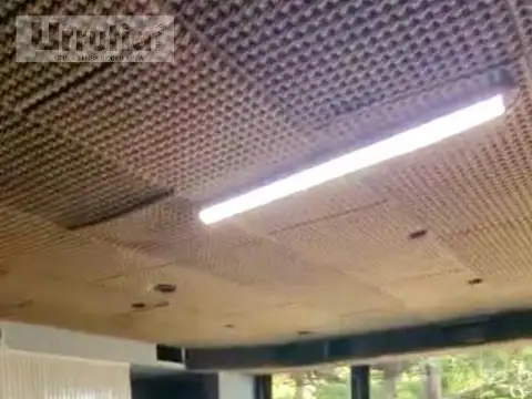 Local en Alquiler A Estrenar