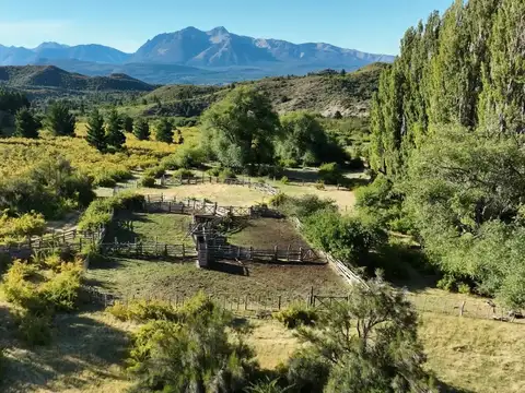 Campo de 1250 has en Epuyen