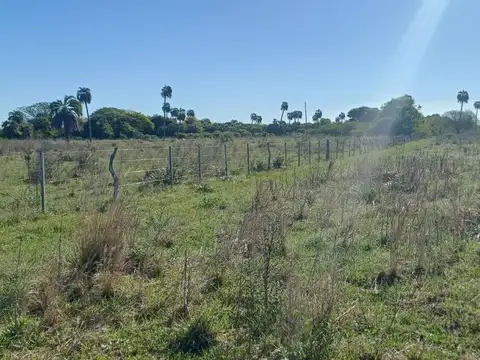 Terreno en Venta de 20000,0 m2