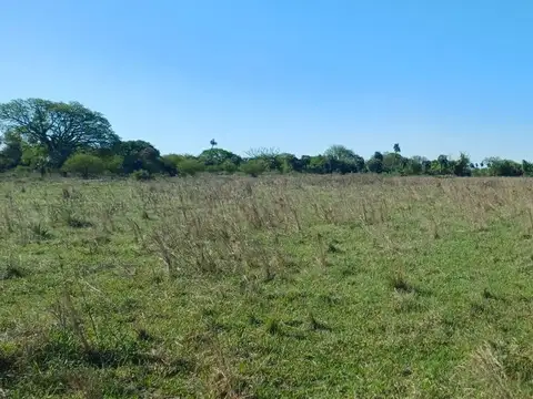 LOTE EN VENTA, PARAJE SAN MARTIN, GOYA CORRIENTES