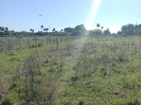 LOTE EN VENTA, PARAJE SAN MARTIN, GOYA CORRIENTES