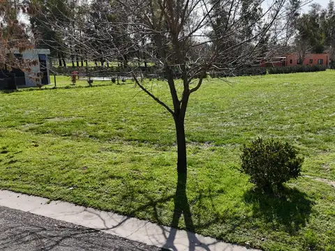 Terreno en Venta en San Antonio de Areco, USD 65.000