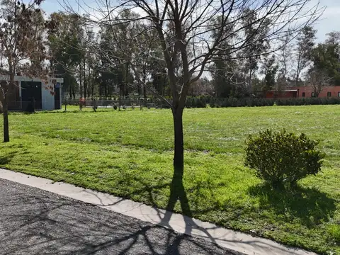 El Tropezón