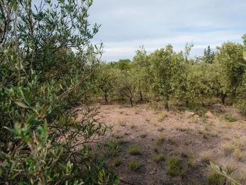 VENTA DE CASA CON GRAN TERRENO 16.000M ESCRITURA