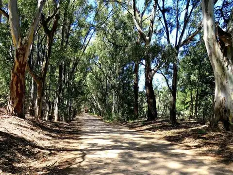 Lote para desarrollo 1606m con opcion lote lindero