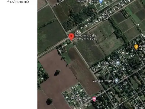 Consultar dirección