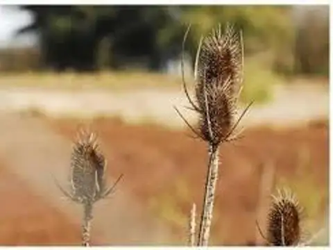 Lote Venta Canning en Barrio Santa Juana-ULTIMOS LOTES