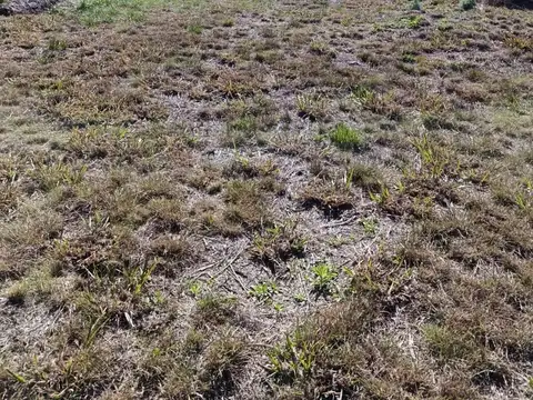 Terreno en Venta en Arguello Norte, USD 15.000