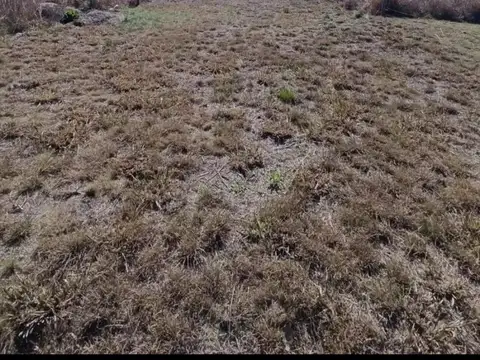 Terreno en Venta - Barrio Lotengo