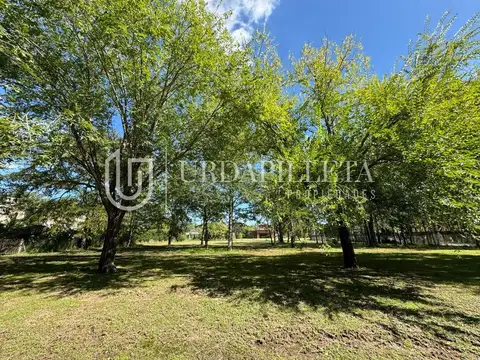 Terreno en Venta 34  mts Frente