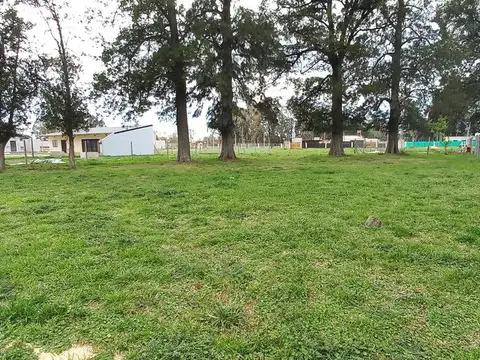 Terreno en Venta en Alejandro Petion, USD 30.000