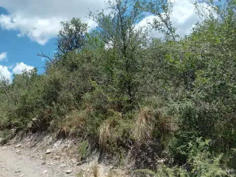Terreno en Venta en San Esteban, USD 25.000