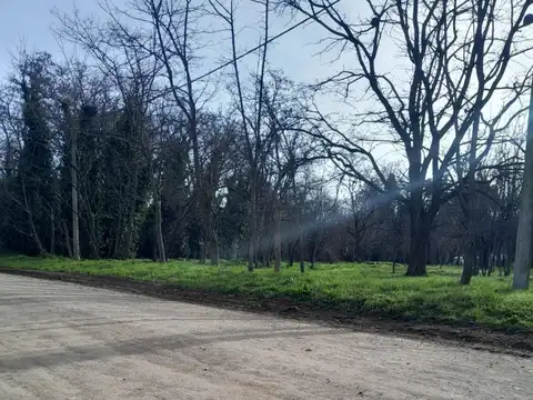 LOTE CENTRICO SIERRA DE LA VENTANA  5   763 MTS