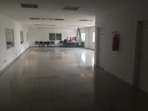 Einstein al 800 - SUSPENDIDO