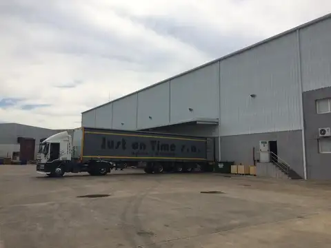 Einstein al 800 - SUSPENDIDO