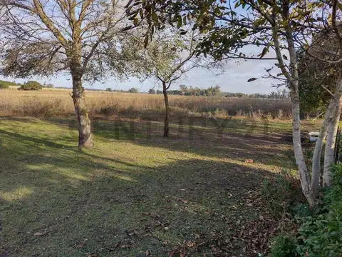 CAMPO 5 HECTAREAS MIRAMAR -EXCELENTE OPORTUNIDAD 