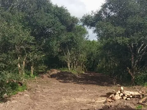 Terreno en Venta 40  mts Fondo