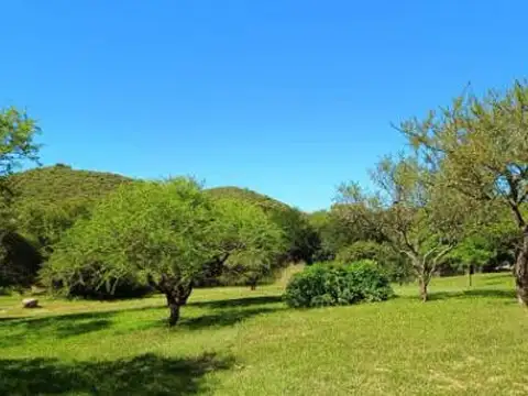 Terreno en Venta 37  mts Frente