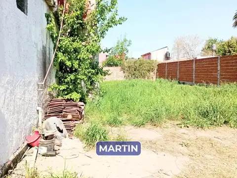 baroni 100