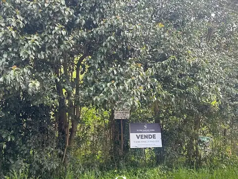 TERRENO COMERCIAL CENTRO DE  LOS CARDALES