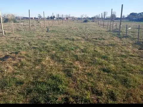 vendo lote de 10 x 60 mts. Barrio La Recoleta, Virrey del Pino  EXCELENTE OPORTUNIDAD 