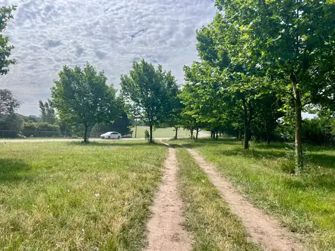 Oportunidad única: venta de terreno en La Ranita a 45.000 US