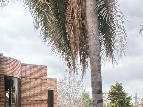 Casa en Alquiler de 7 dormitorios