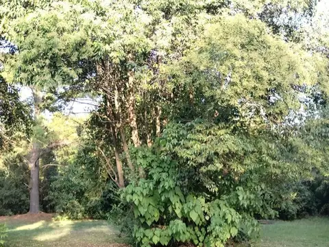 Venta Lote 1120 m²  a mtrs de R26 SAVIO zRE1